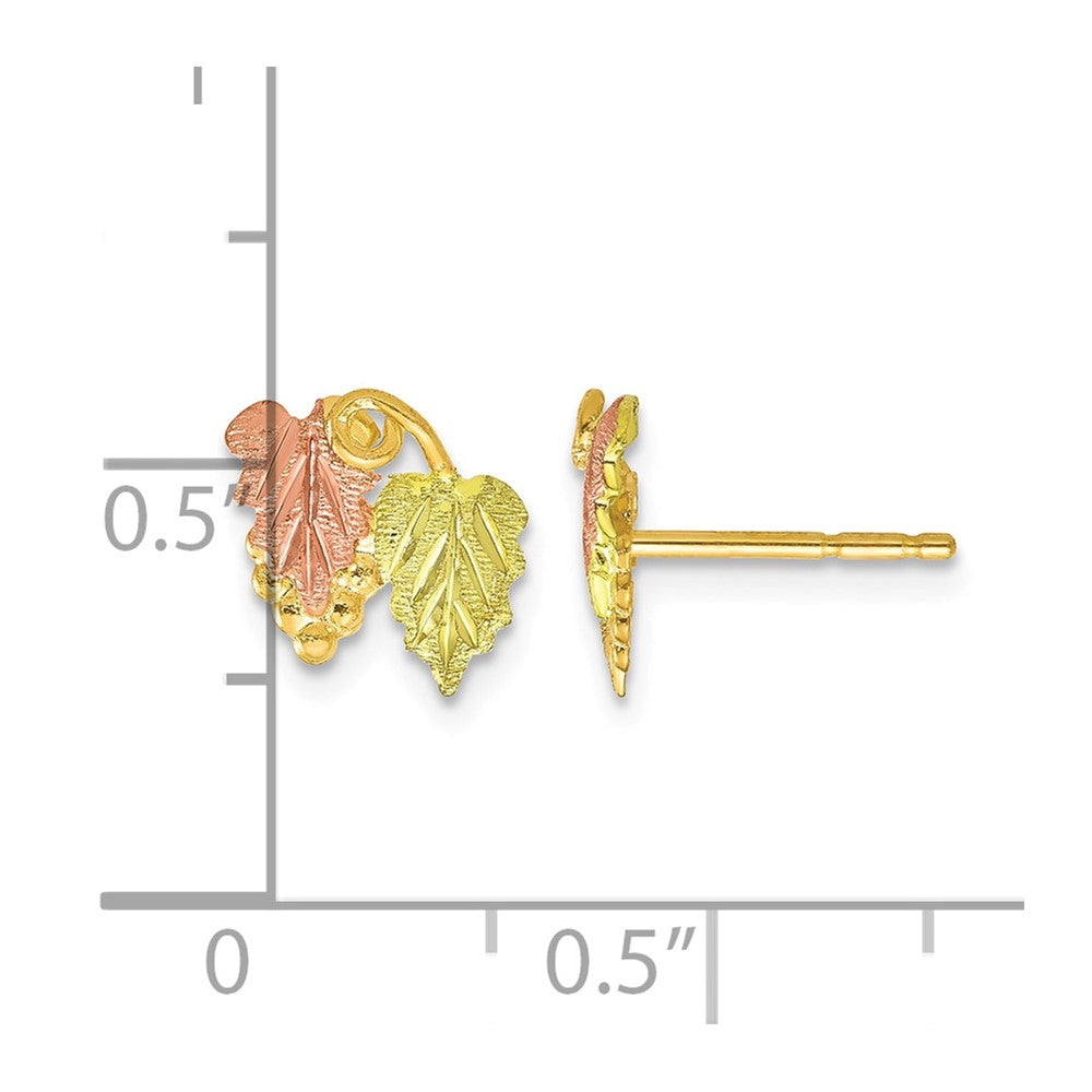 10k Tri-color Black Hills Gold Post Earrings