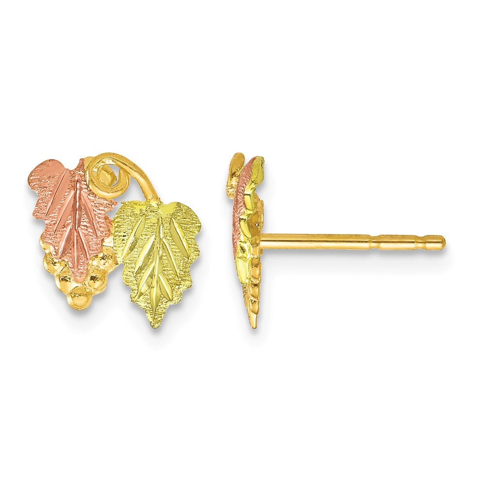 10k Tri-color Black Hills Gold Post Earrings
