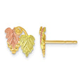 10k Tri-color Black Hills Gold Post Earrings