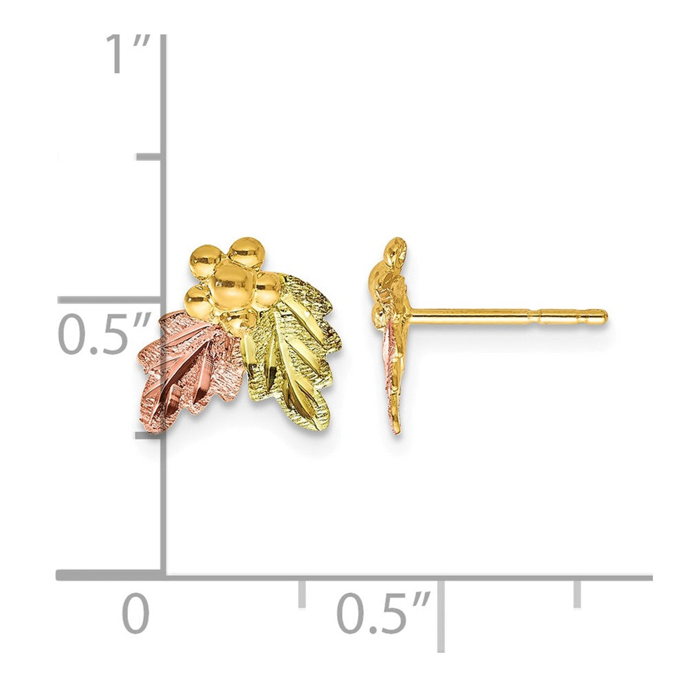 10k Tri-color Black Hills Gold Post Earrings