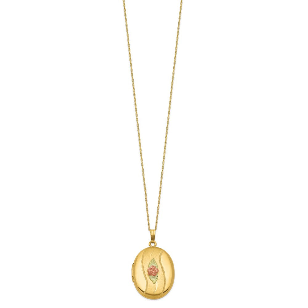 10k w/ 12k Accents and 14k Gold-filled Chain Black Hills Locket