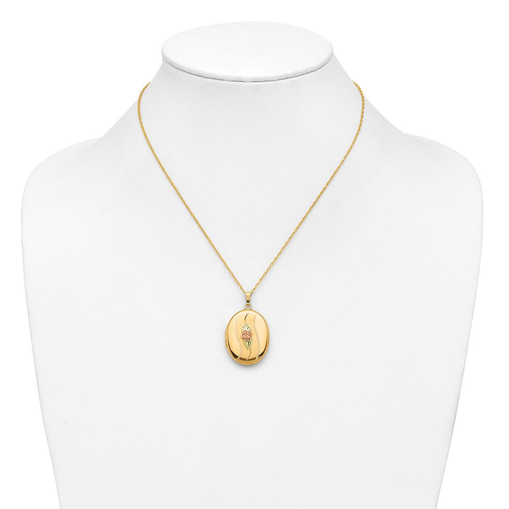 10k w/ 12k Accents and 14k Gold-filled Chain Black Hills Locket