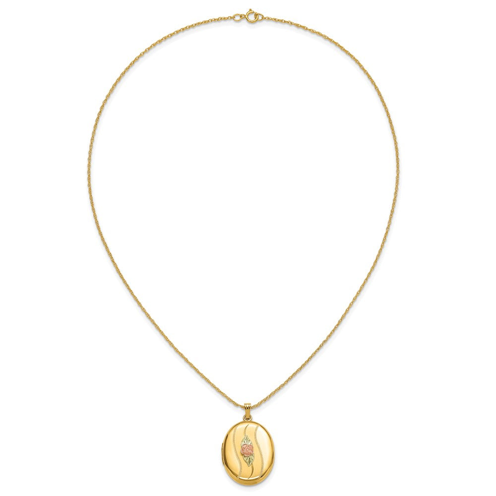 10k w/ 12k Accents and 14k Gold-filled Chain Black Hills Locket