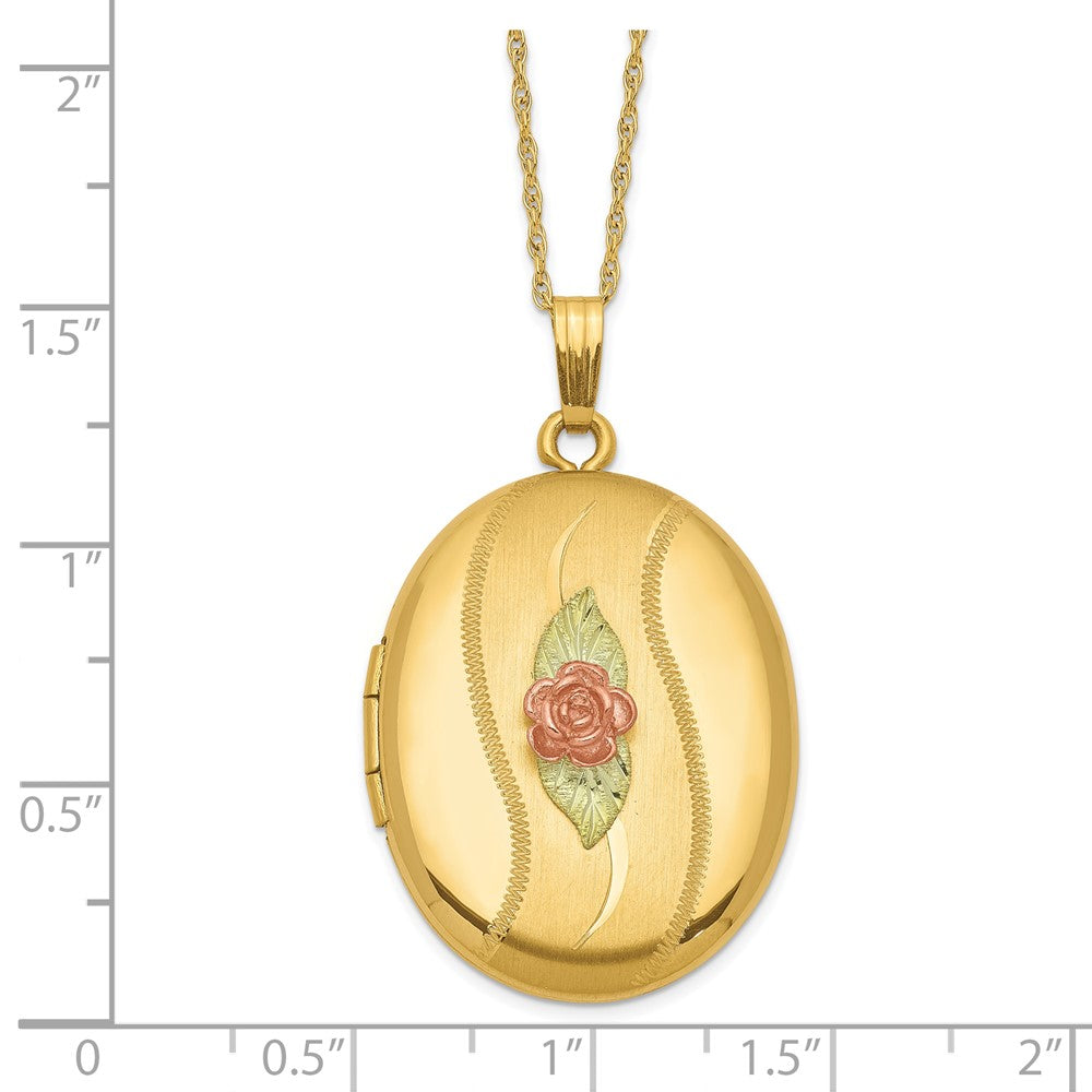 10k w/ 12k Accents and 14k Gold-filled Chain Black Hills Locket
