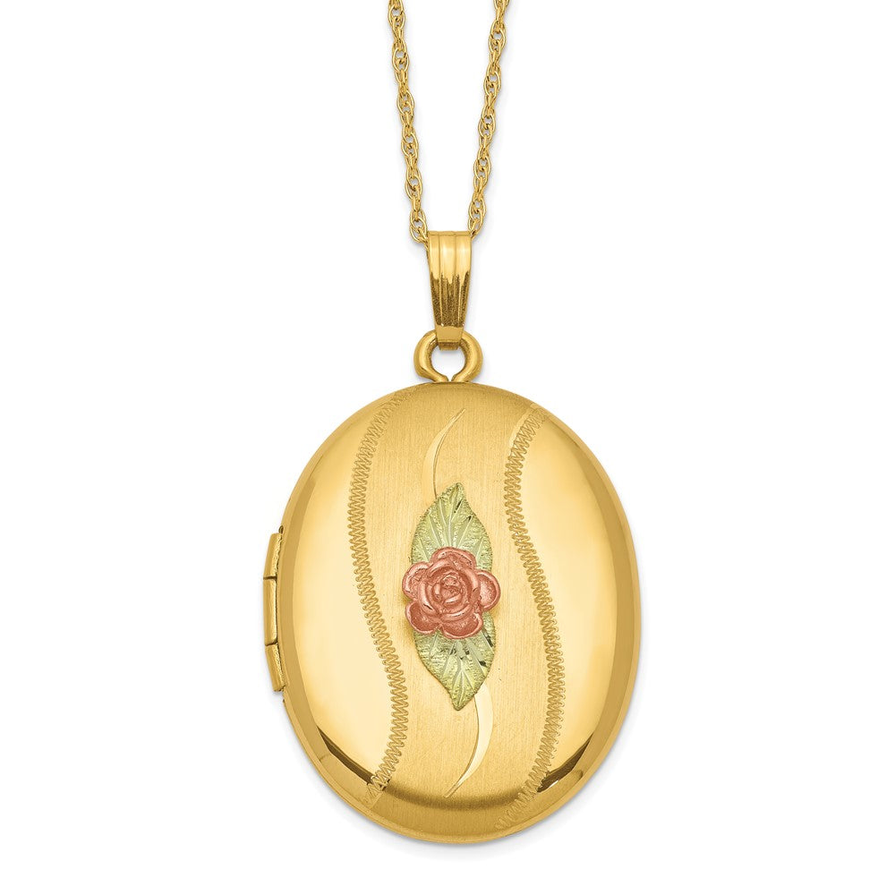 10k w/ 12k Accents and 14k Gold-filled Chain Black Hills Locket