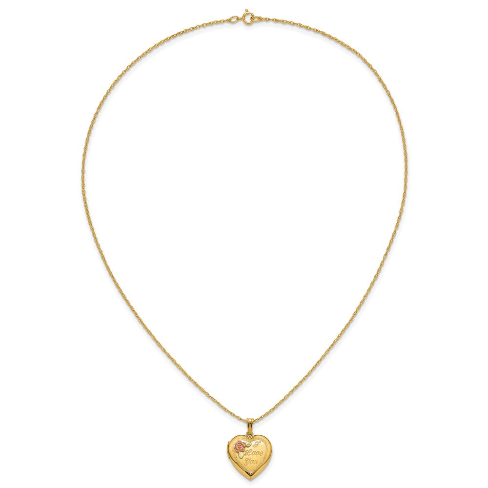 10k w/ 12k Accents and 14k Gold-filled Chain Black Hills Locket