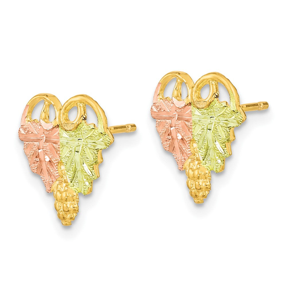 10k Tri-color Black Hills Gold Post Earrings