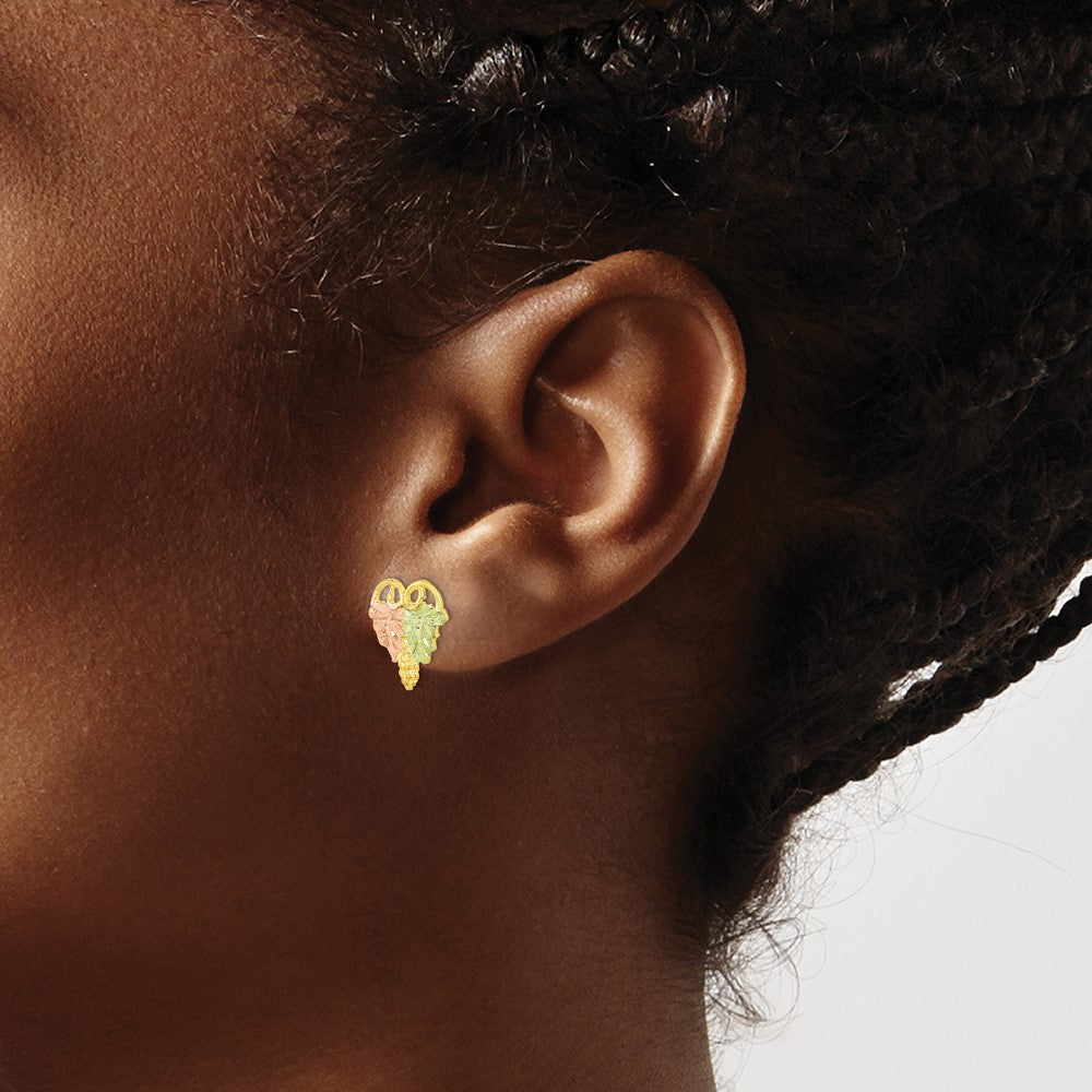 10k Tri-color Black Hills Gold Post Earrings