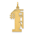 10K Lined Design #1 SON Charm