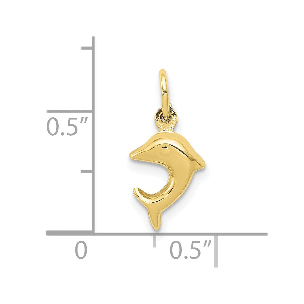 10k Dolphin Charm