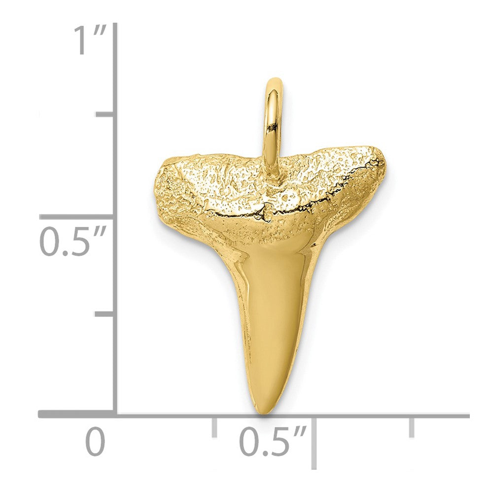 10K Shark Tooth Pendant