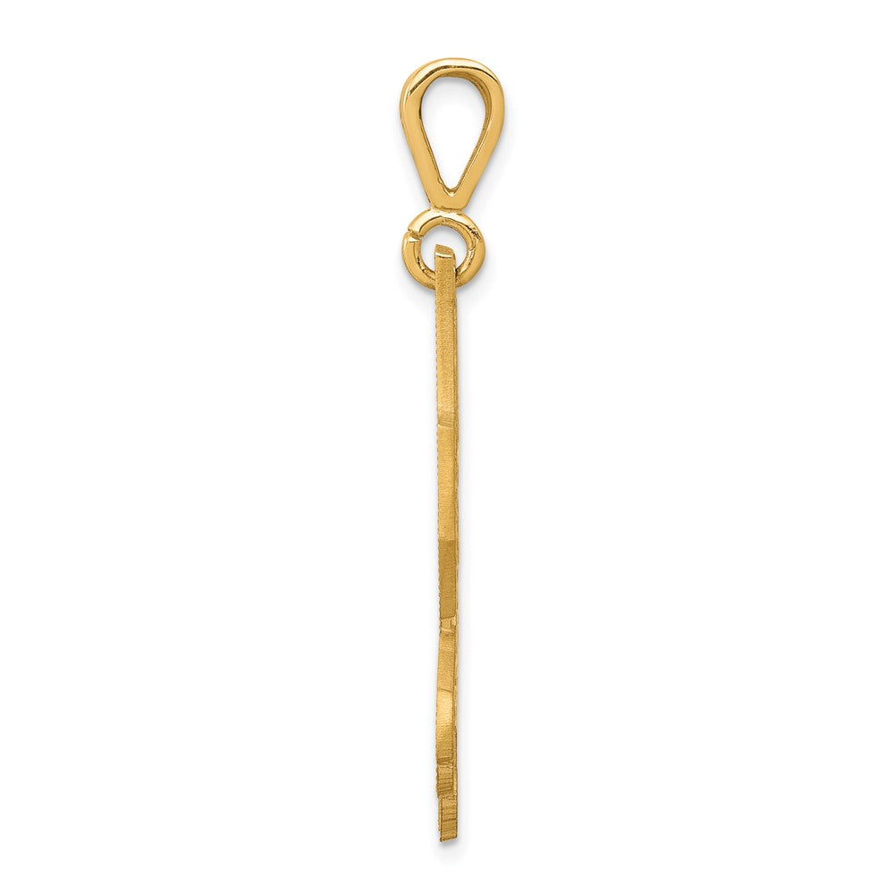 10k Solid Diamond-cut Eagle Charm