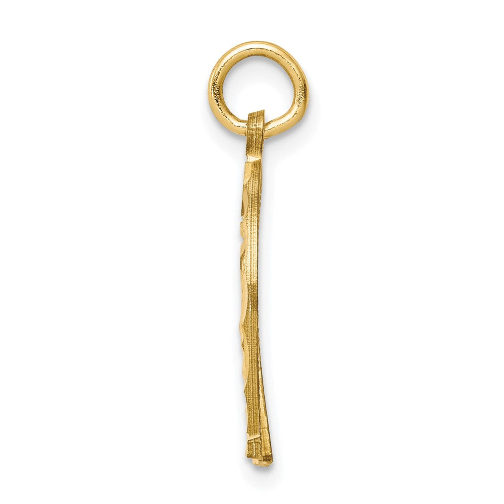 10k Horseshoe Charm