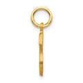 10k Initial S Charm