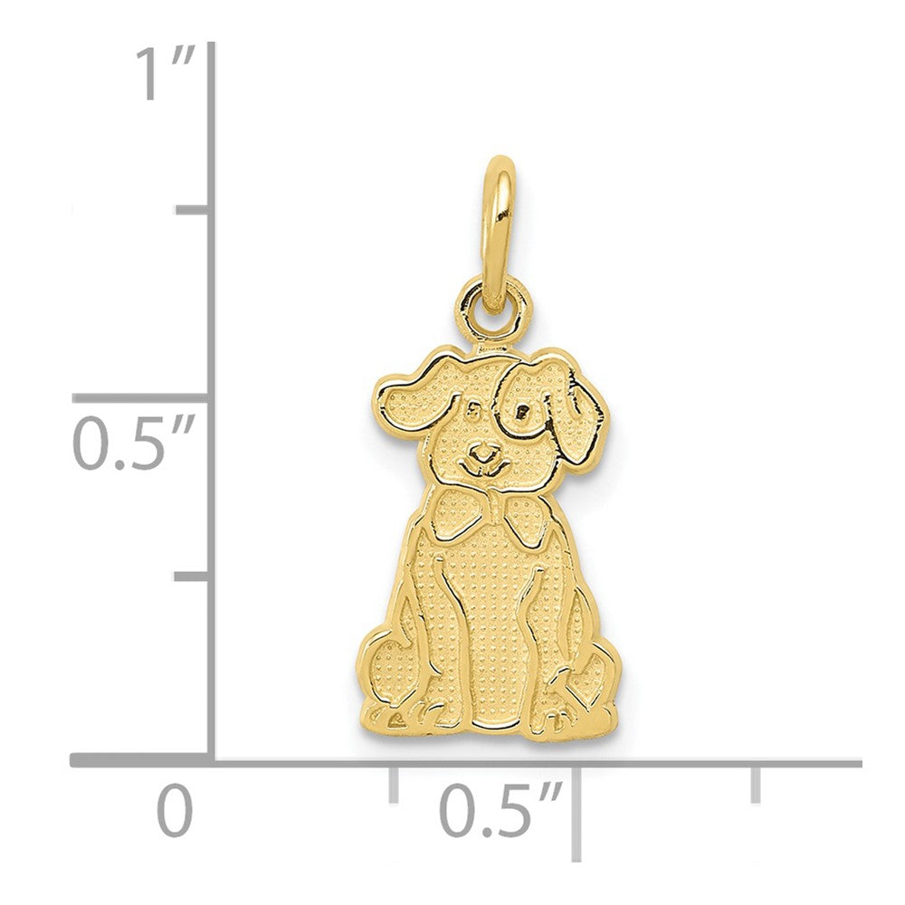10k Puppy Charm