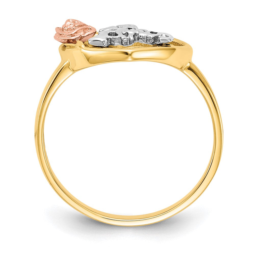 10K Two-tone & Rhodium 15 Anos Ring