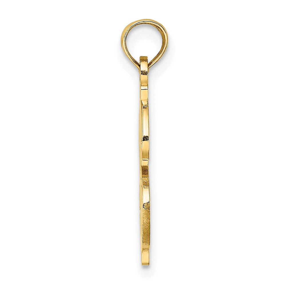 10K Textured Dollar Sign Charm