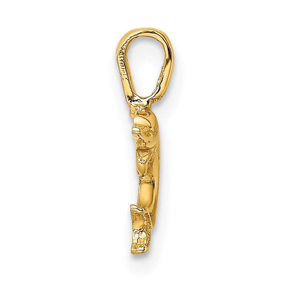 10K Mini Jumping Dolphin w/ Fixed Bail Charm
