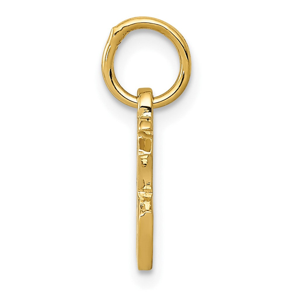 10k Chinese Symbol \Good Luck\" Charm"