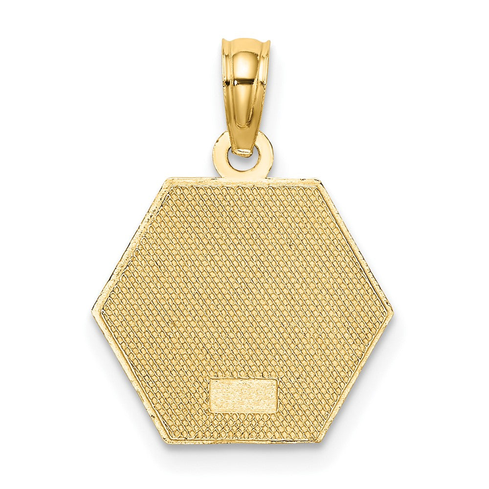 10k Medical Disc Pendant