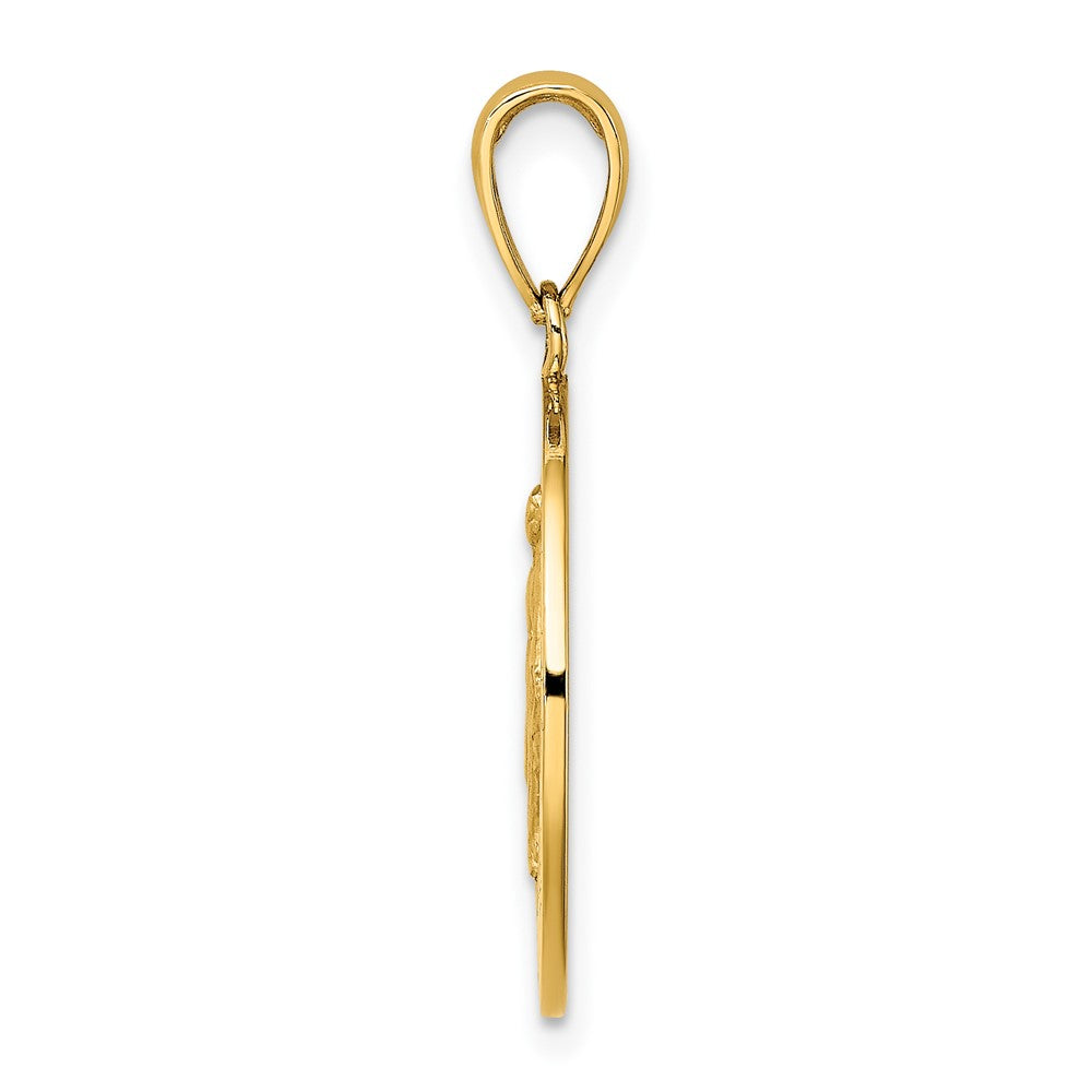 10K Polished and Satin Miraculous Medal Charm