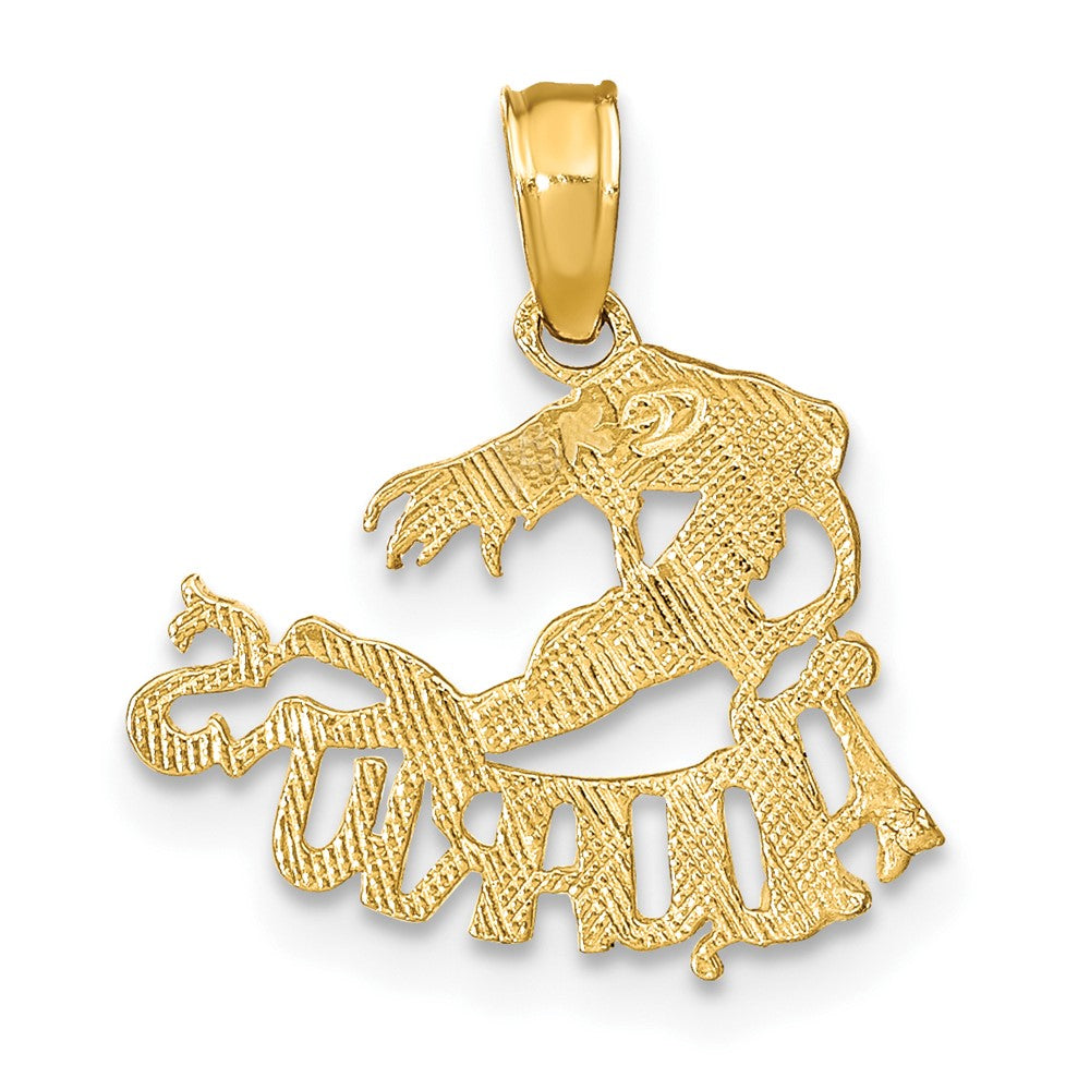 10k Aquarius Zodiac Charm