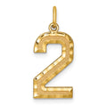 10ky Casted Large Diamond Cut Number 2 Charm