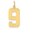 10k Large Polished Number 9 Charm