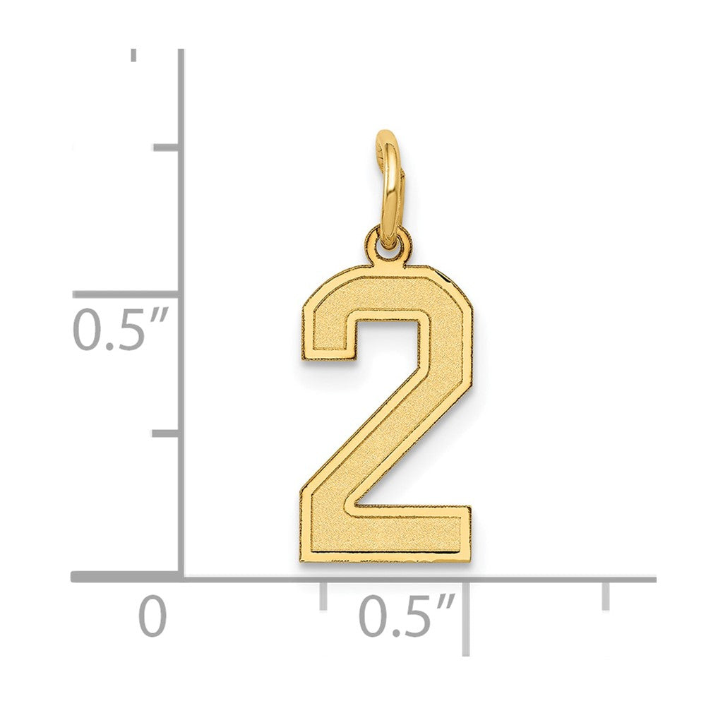 10k Small Satin Number 2 Charm