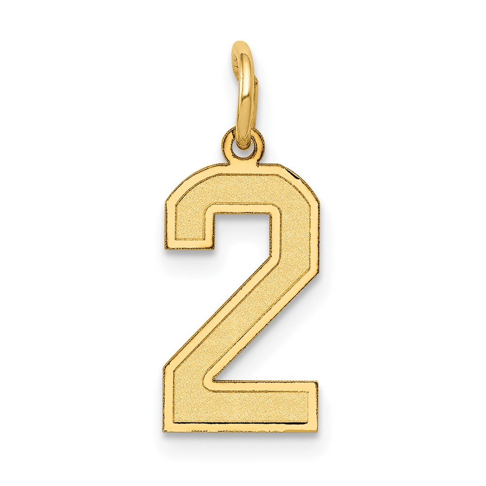 10k Small Satin Number 2 Charm