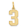 10k Small Satin Number 3 Charm