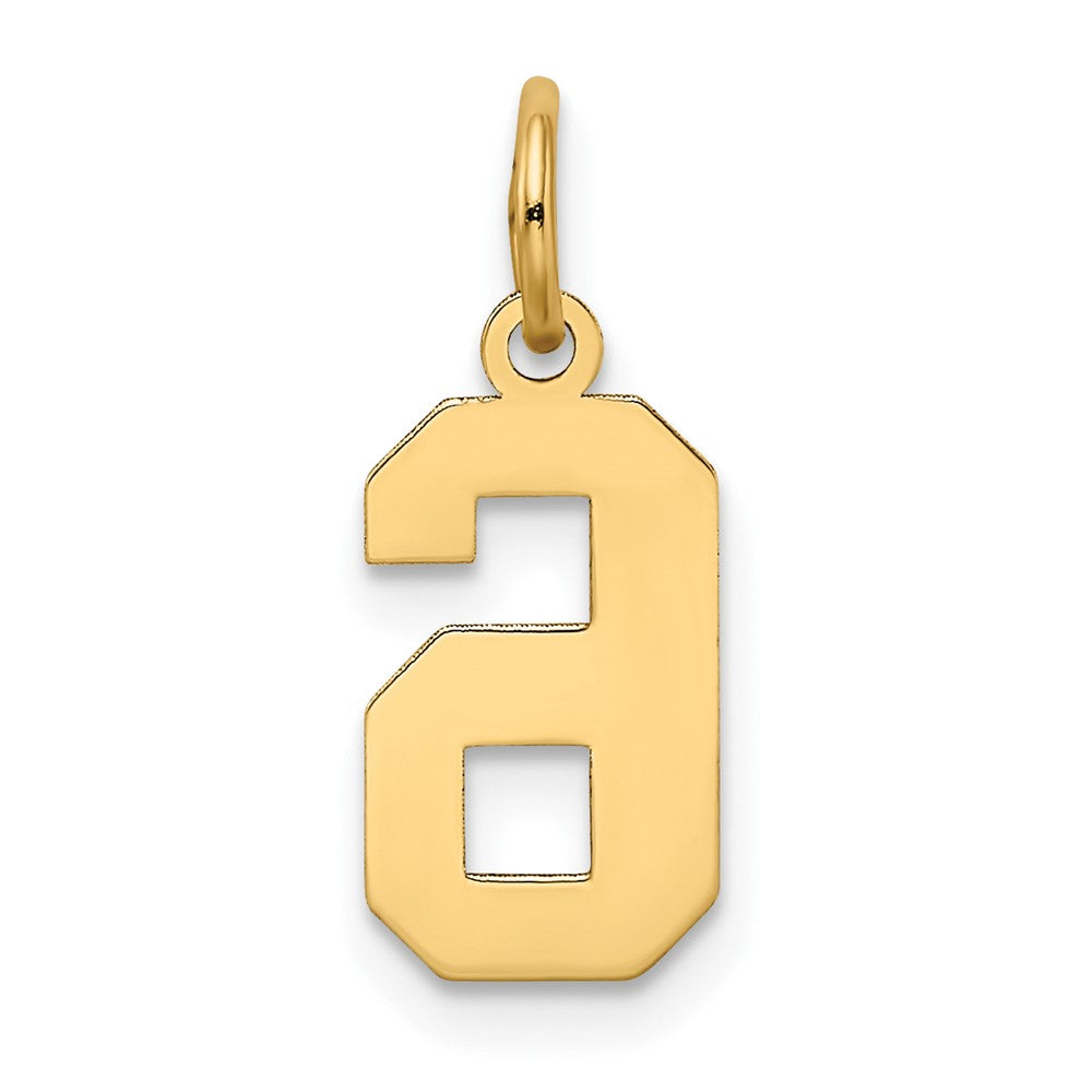 10k Small Satin Number 6 Charm