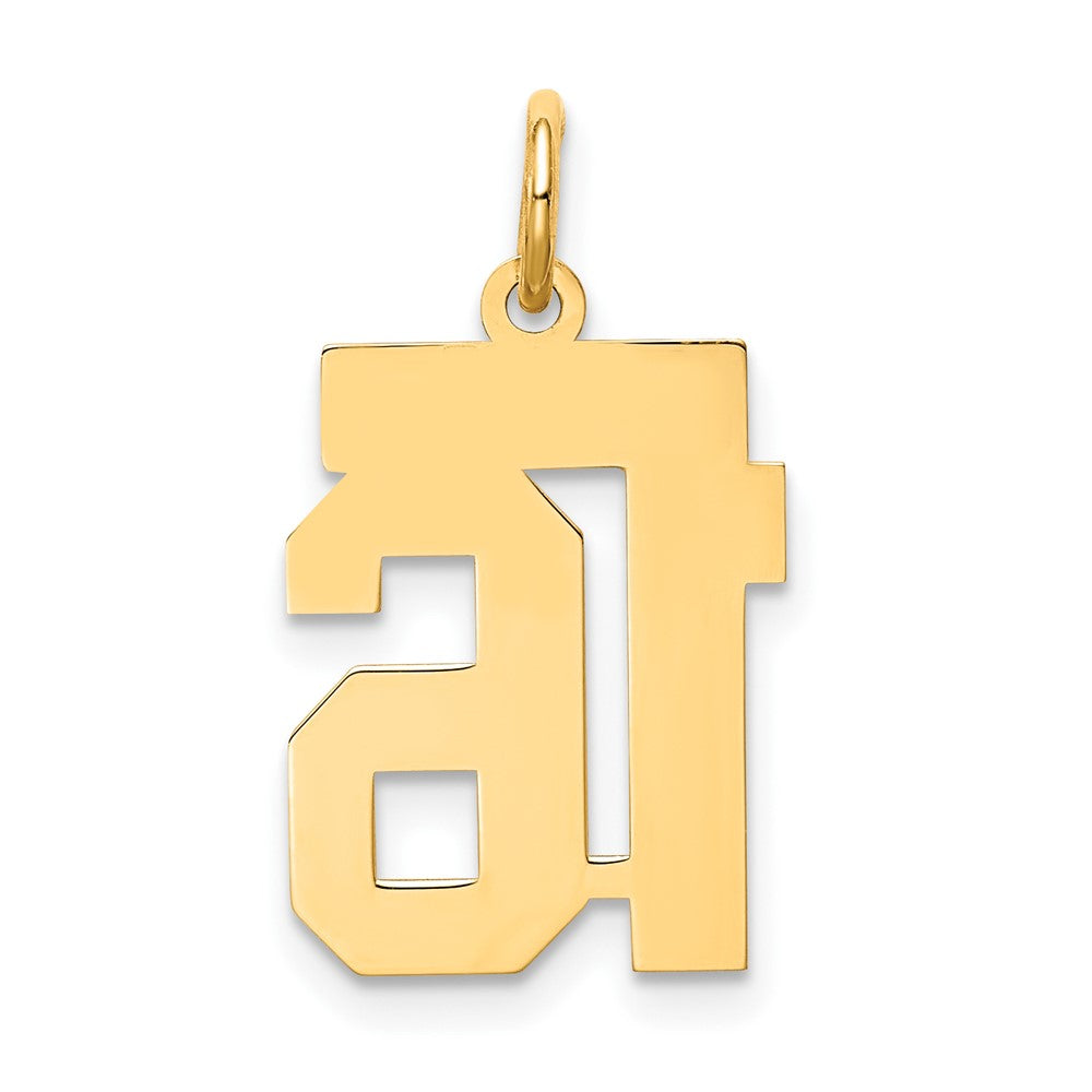 10ky Small Satin Number 16 Charm