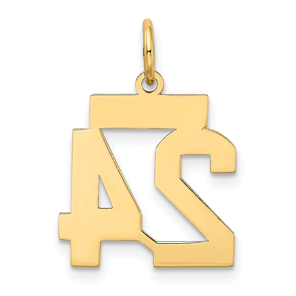 10k Small Satin Number 24 Charm