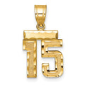 10k Small Brushed Diamond-cut Number 15 Charm