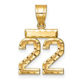 10k Small Brushed Diamond-cut Number 22 Charm