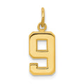 10k Small Polished Number 9 Charm