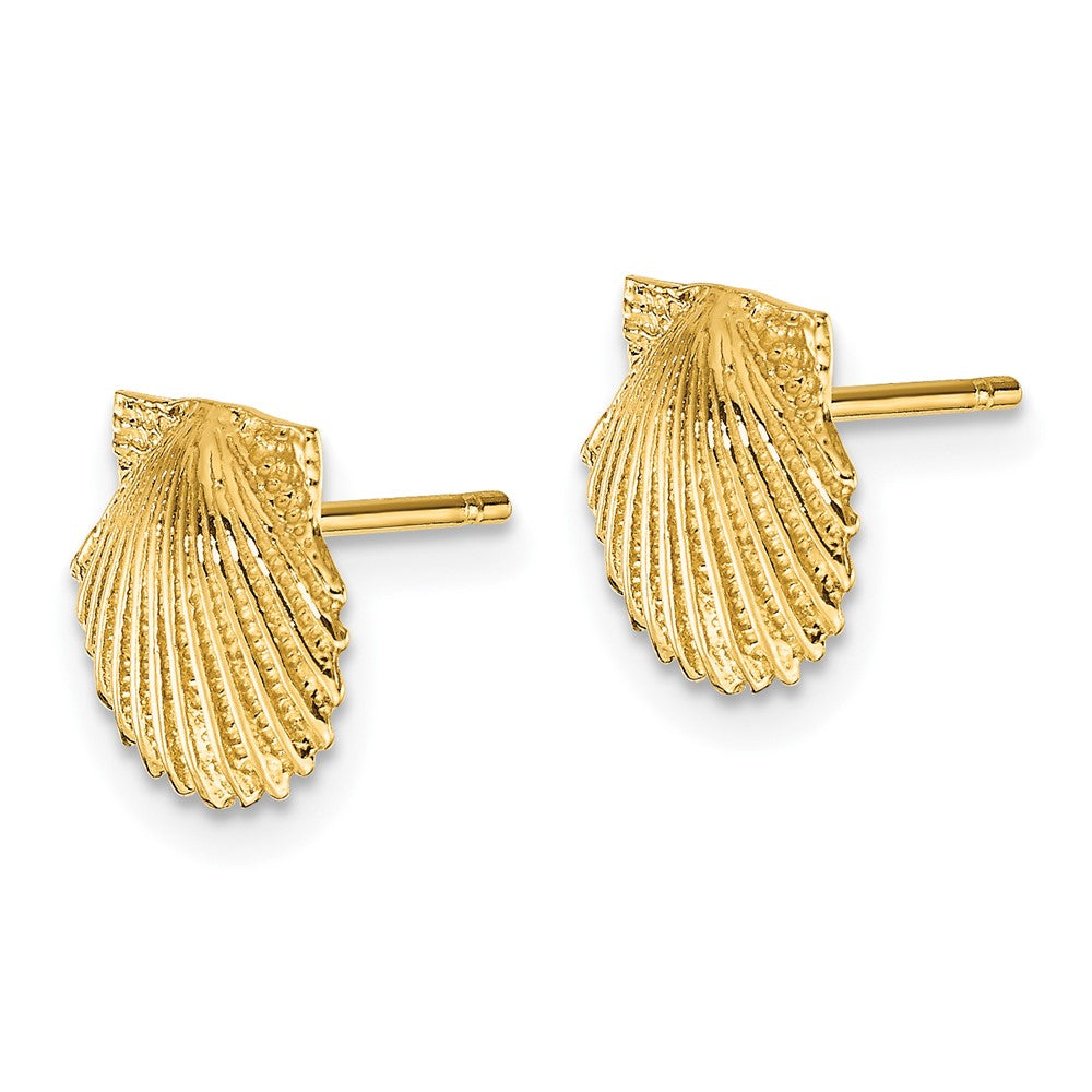 10K Scallop Shell Post Earrings