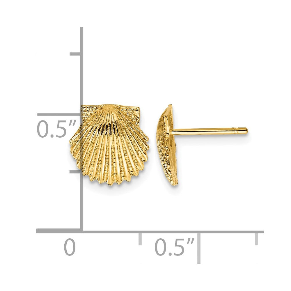 10K Scallop Shell Post Earrings