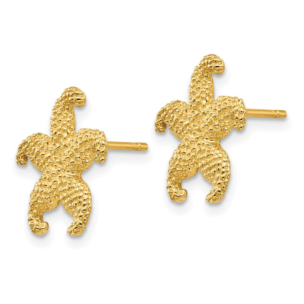 10k Starfish Post Earrings