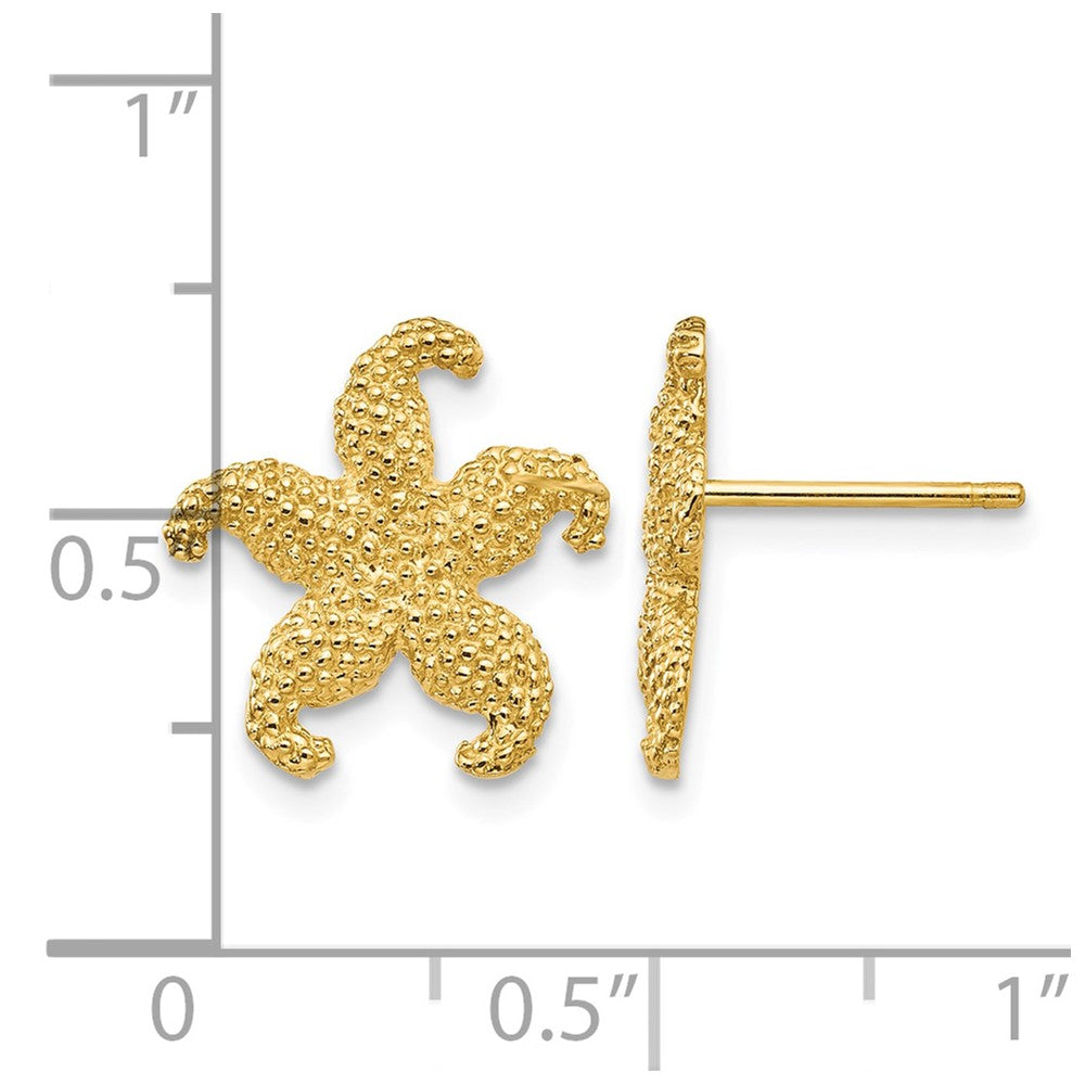 10k Starfish Post Earrings