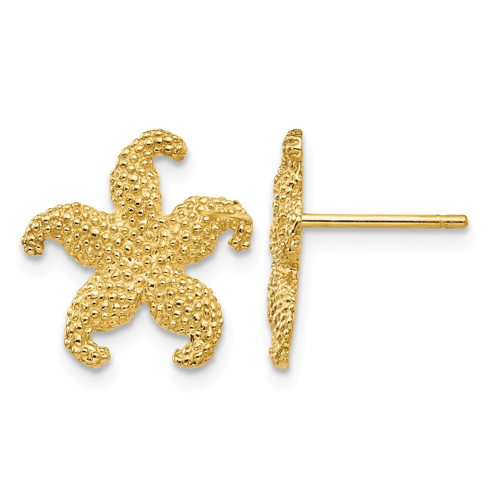 10k Starfish Post Earrings