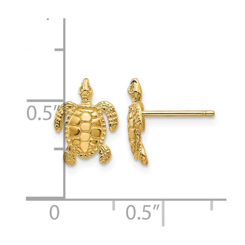 10k Turtle Post Earrings