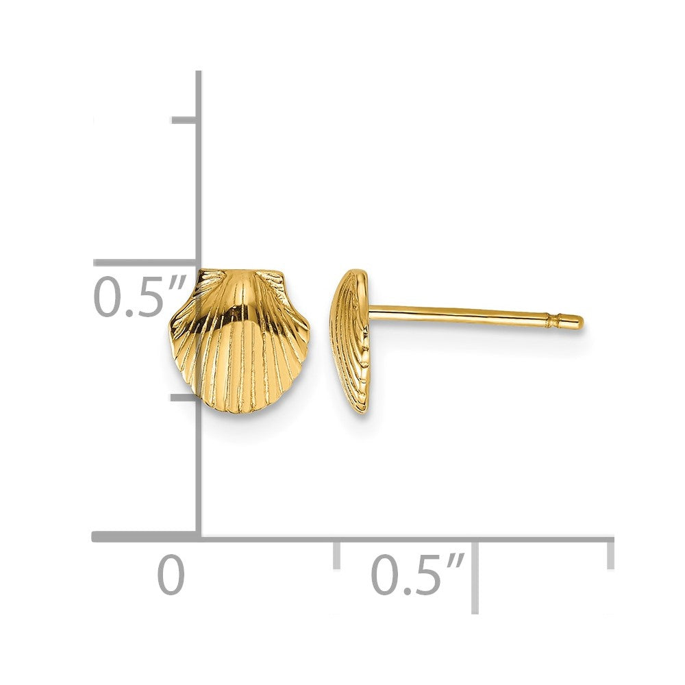 10k Mini Scallop Shell Post Earrings