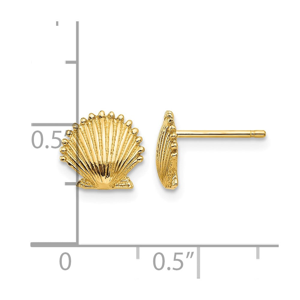 10K Scallop Shell Post Earrings