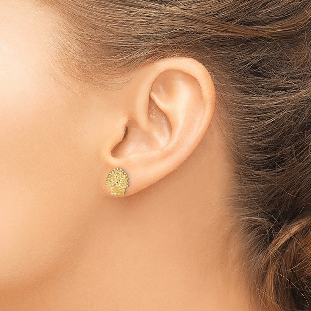 10K Beaded Scallop Shell Post Earrings