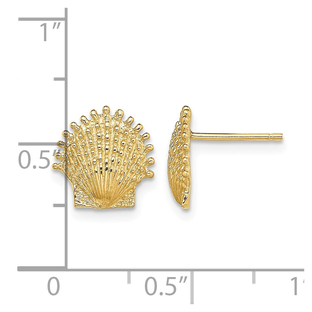 10K Beaded Scallop Shell Post Earrings
