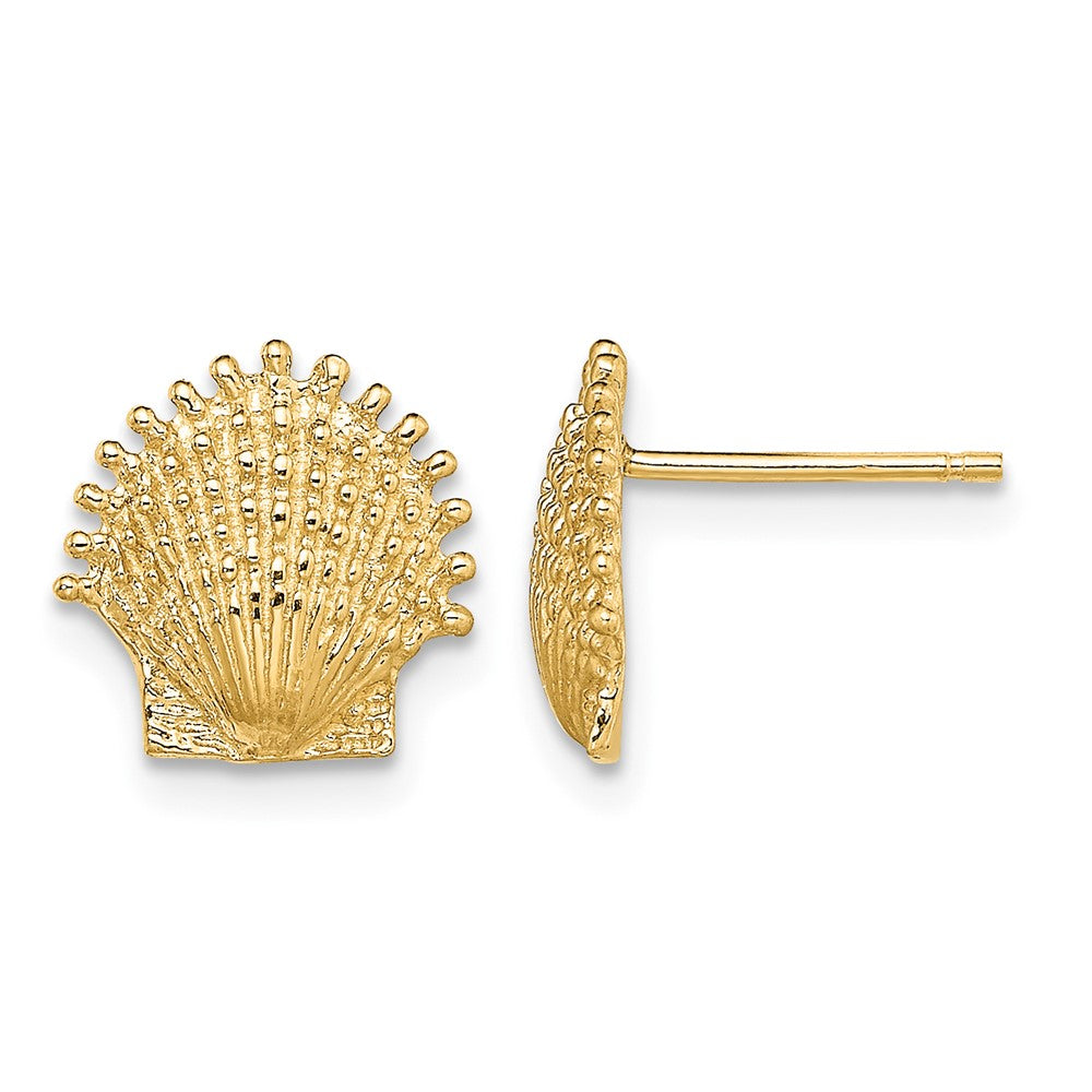 10K Beaded Scallop Shell Post Earrings