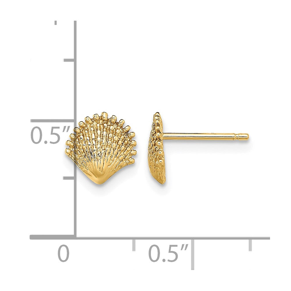 10K Scallop Shell Post Earrings