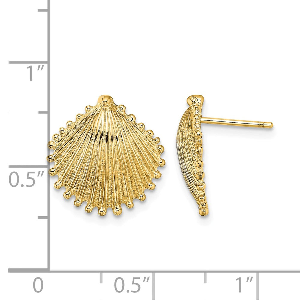 10K Scallop Shell Post Earrings